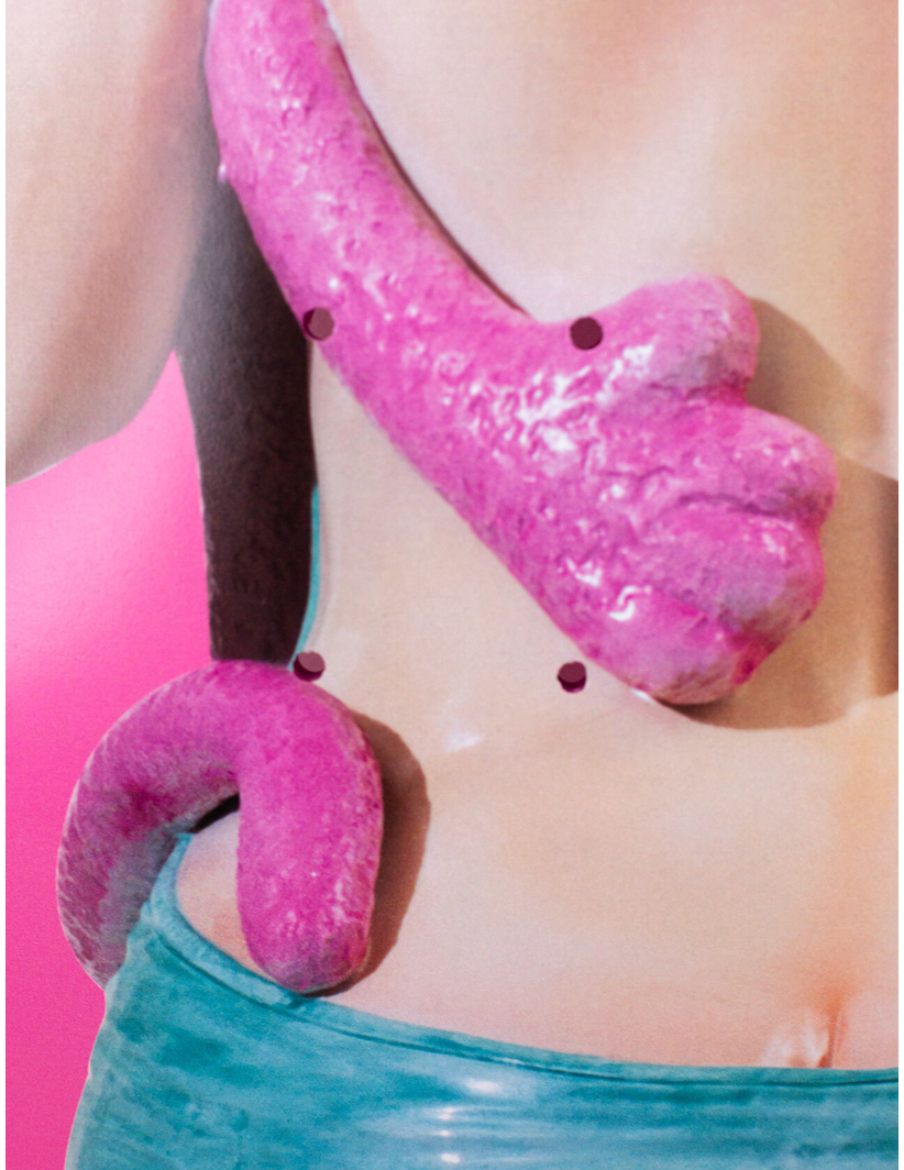 Pink Panther Skateboard #69, JEFF KOONS