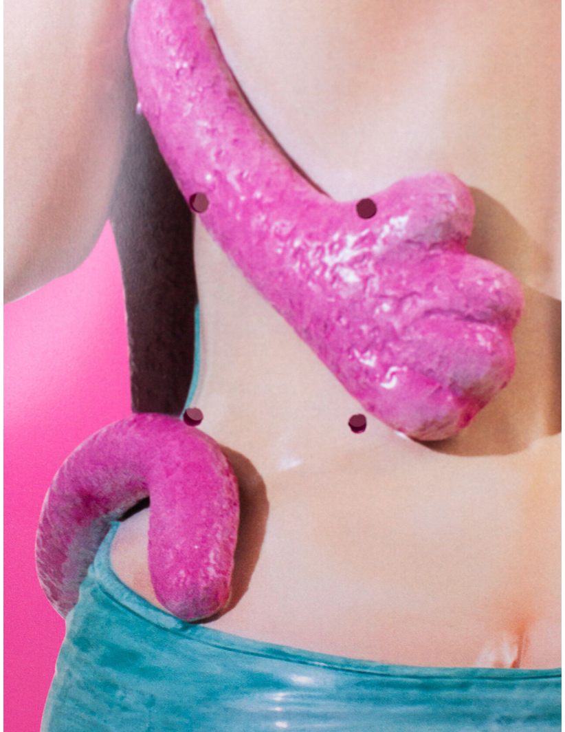 Pink Panther Skateboard #68, JEFF KOONS