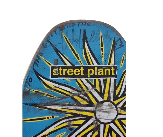 Street Plant "Five Year Anniversary" Mike Vallely Signed Skateboard Deck