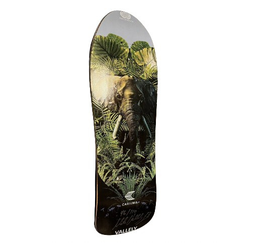 Powell Peralta x Cariuma x Berries Limited # 46/110 Signed Mike Vallely Skateboard deck